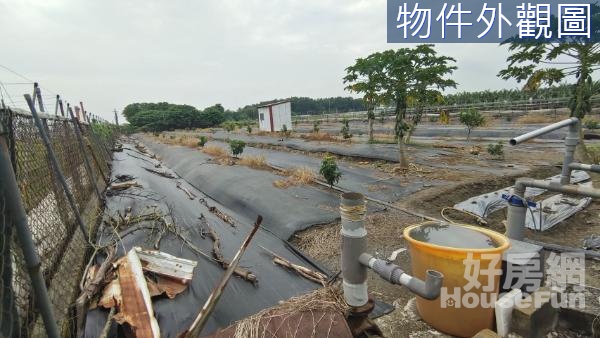 里港鄉台三線方正農地