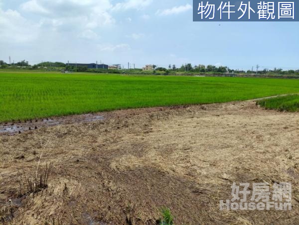 台中航空城~增值可期~區段徵收農地~秒殺A案