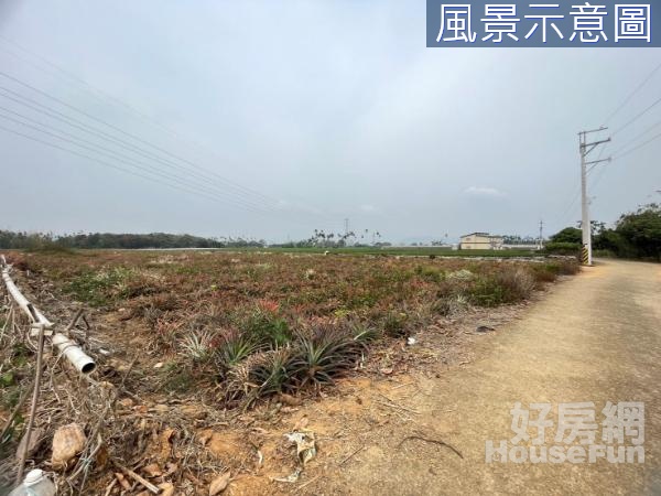 南投名間竹圍村10.4分農地/平坦茶園、果園