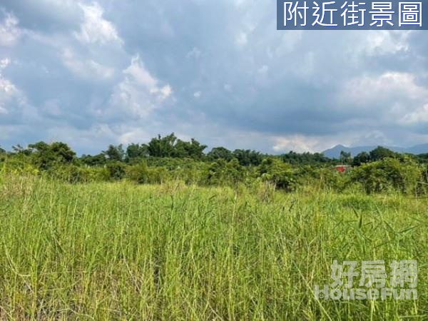 嘉義住商一銀 木屐寮2800坪正12米美農地