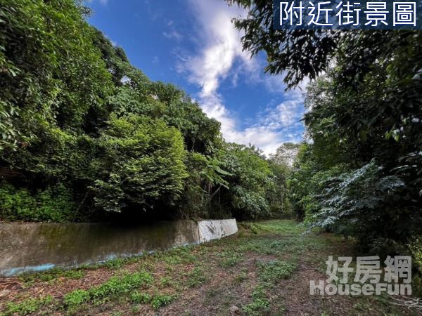 🌱近鴻禧高球場｜北田路旁｜大地坪快樂農場