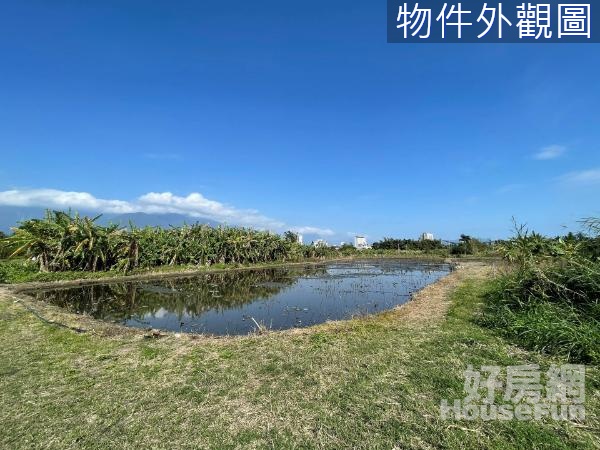 近太平洋公園重劃區環境開闊原保美農地