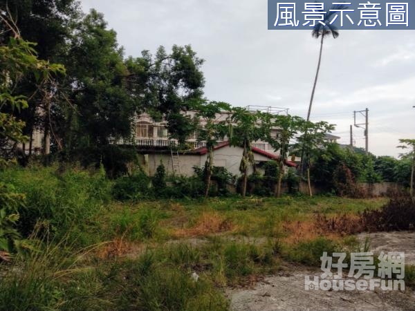 專任-17E壽豐小和農村旁稀有臨路好規劃建地