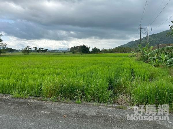 鳳林1100坪都內農地（近鳳林市區）10F050