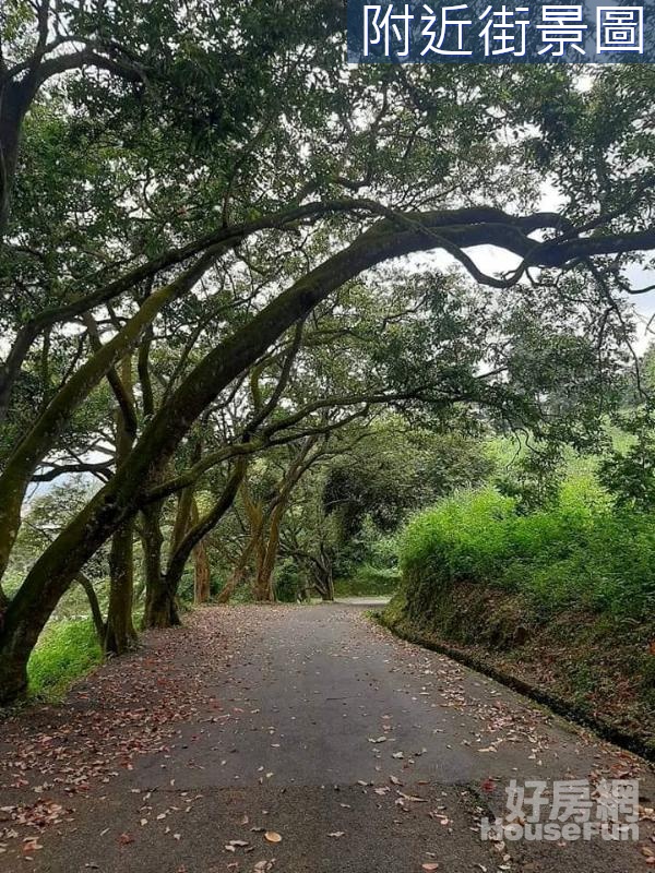 通霄景觀地B