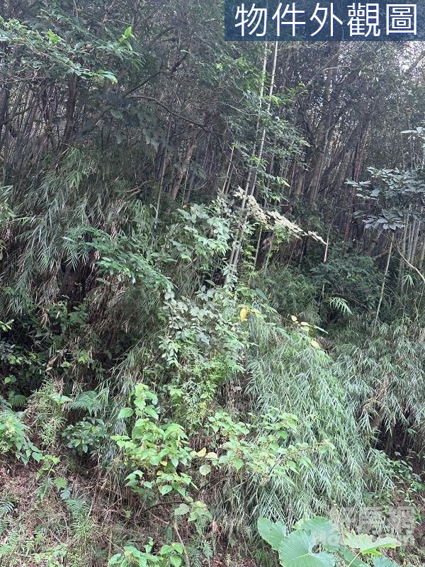 芎林水坑壹段休閒美地