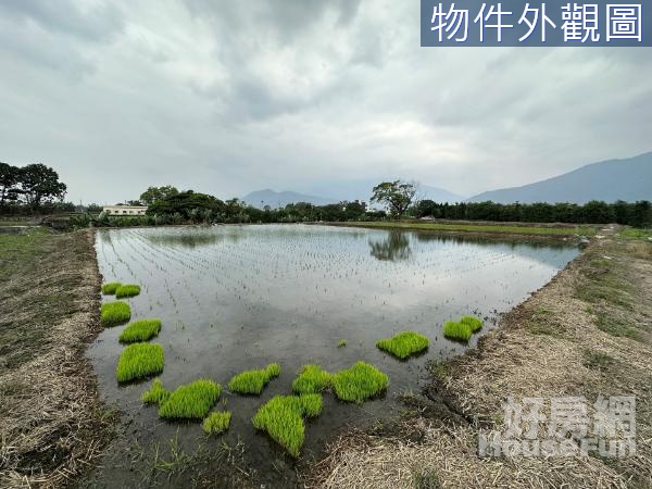 🍃吉安鄉近知卡宣低於行情千坪農地