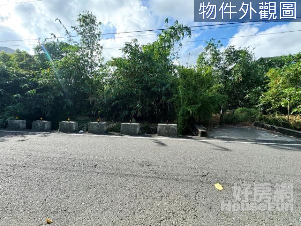 宜蘭市河岸第一排大面寬好規劃農地