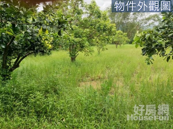 內門區溝坪里優美山景退休養生農地