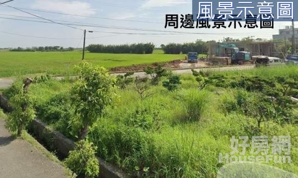 八德新興路田