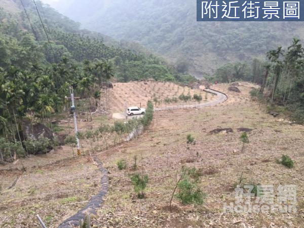 獨家專任-雲林古坑好山好水望幽谷山坡地