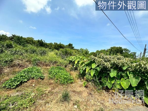 新屋區山海段漂亮農地+大坪數好規劃甲建