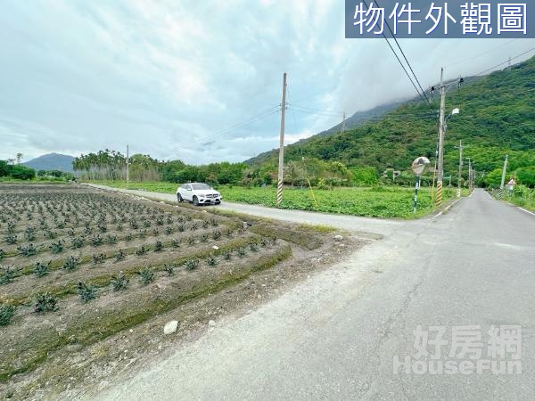 🌳獨家專售南華雙面路方正角地田園山景~原保農地