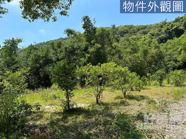 員山雷公埤大路邊小坪數超便宜小農地