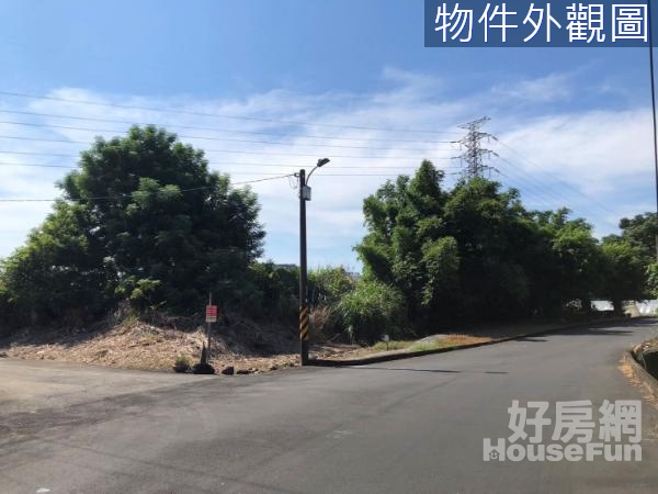 開南大學中路擴大一期桃園市區永安路增值農地