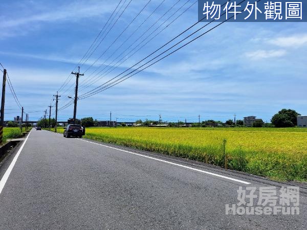 宜市都計內近高鐵特區雙面路306坪農地