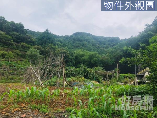 冬山草漯群山環抱景色秀麗方正小建地C