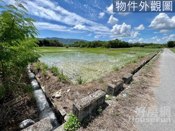 🌸 壽豐鄉雙面臨路臨溝方正平坦都內農地