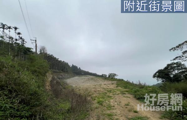 南投竹山露營地~太空艙基地~地勢平坦A