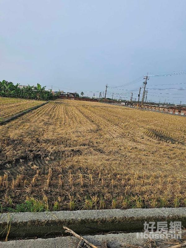 屏東新園鄉新堤段農牧用地