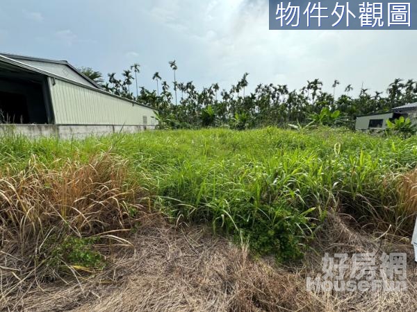 內埔近義大醫院都內方正退休休閒農地