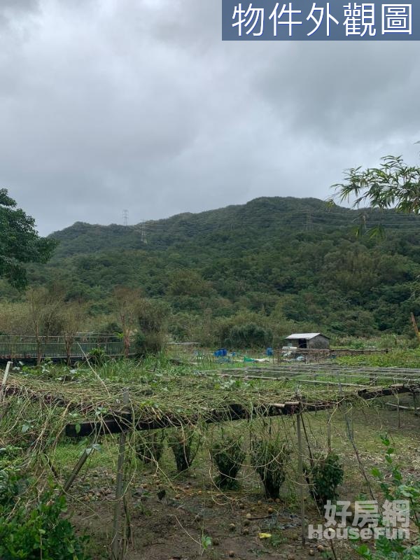 L649 新北雙溪萬坪林地田園耕作開心農場