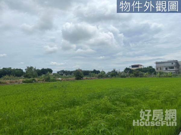 宜市梅洲段足坪農地部分老農夫資格用地