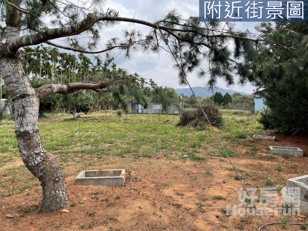 歡迎配件 歡迎配件 新社~松樹園美農地