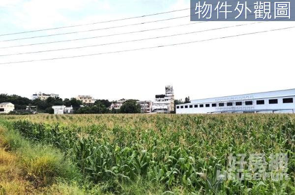 外埔水頭甲后路農地B★近麗寶樂園、花博園區