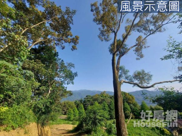 芎林鹿寮坑段土地有路整座