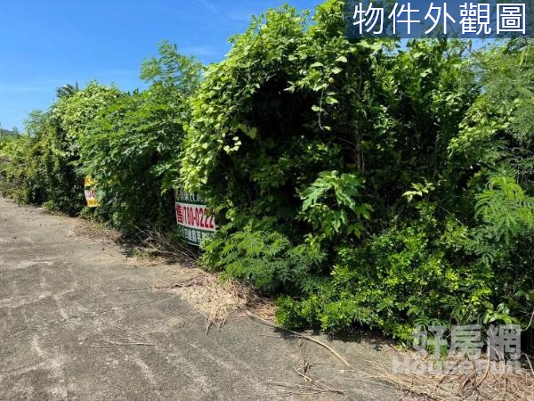 車城埔墘村庄內-風景好大面積農地