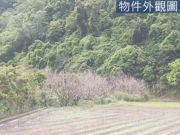 枕山二分半農地、低總價、臨近望龍埤風景區