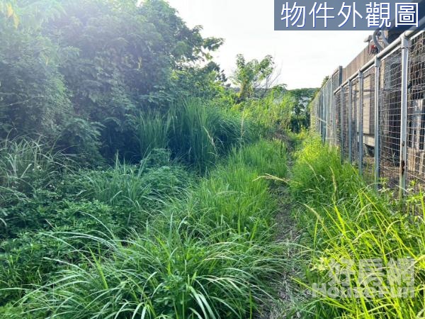 桃園市龜山區舊路坑二段1230地號