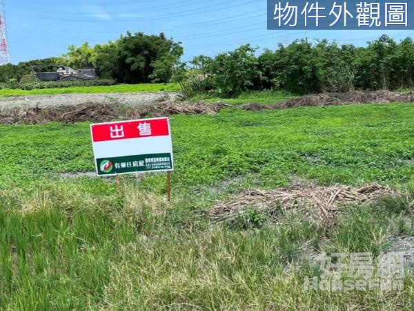 冬山梅花湖旁大路邊農地