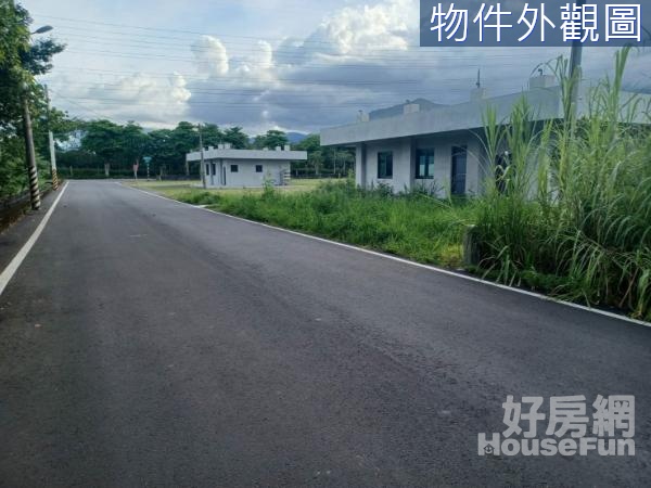 (專任)吉安大面寬雙面路農地