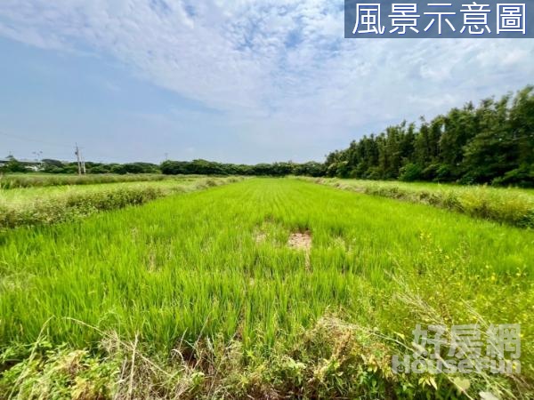 (愛)觀音近66交流道.向陽農場方正美農地