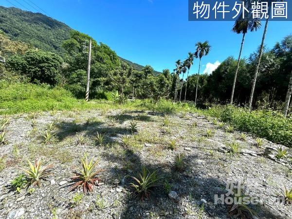 🔰鳳凰山莊養身清幽雙面路農地UF1203