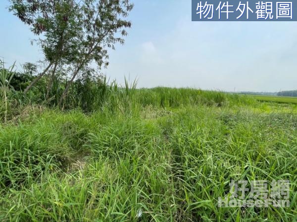 專任雲林元長鄉工業區旁臨路方正農地A