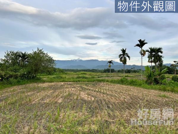 （×獨家×）17F光復漂亮水稻田可申請農保農地