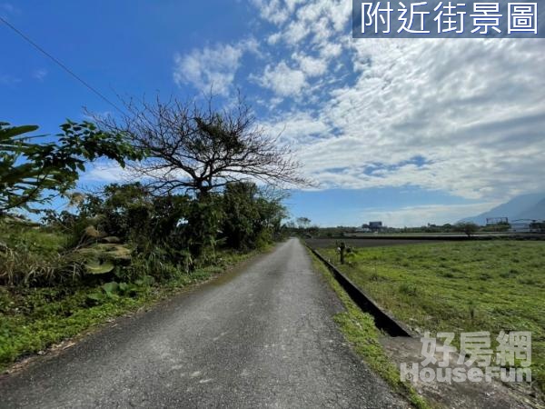 新城近台九線都內農地14F178