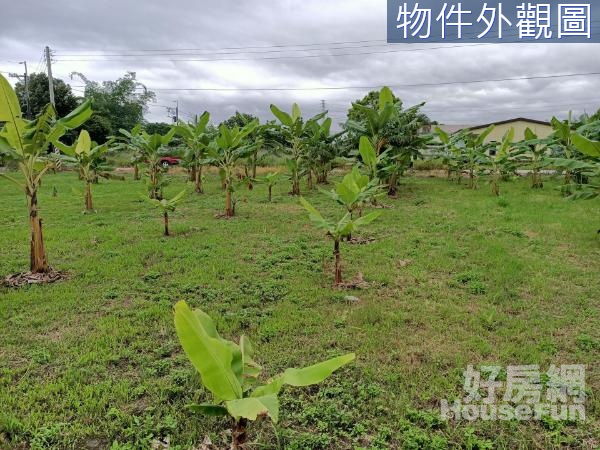 吉安光華小筆有水有電方正好規劃農地(一)