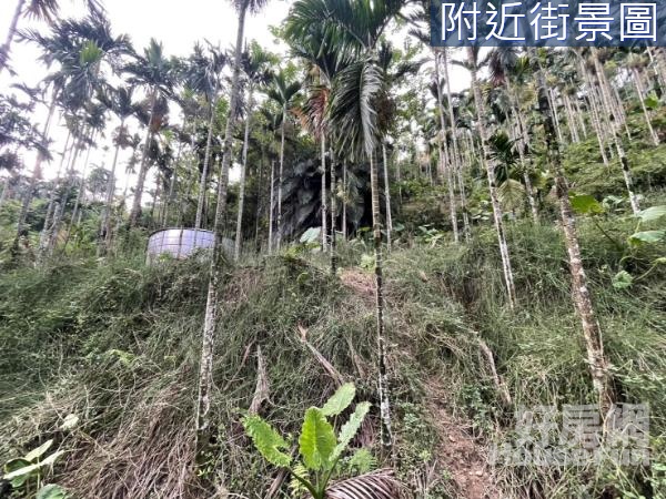 歡迎配件 中埔石硦2甲6分檳榔桂竹筍景觀林地