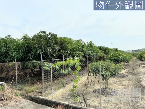 岡山｜漢翔、嘉華產業園區旁增值方正臨路農地