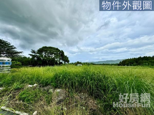 🌸花蓮壽豐忠孝綠映美景休閒小農地（ㄧ）