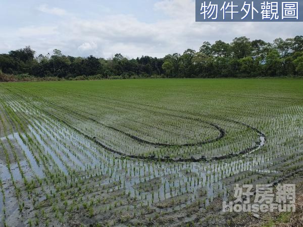 ~鳳林臨路景色優美平坦方正足坪農地~