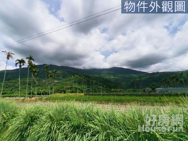 吉安慶豐千坪超美農地10F080