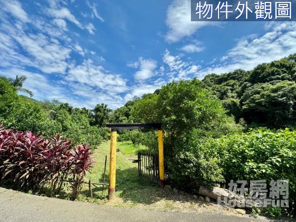 關西農會旁滿載而歸 臨路現成果橘子園