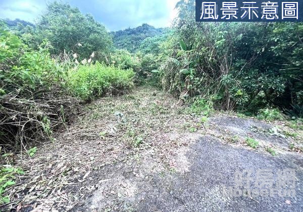 霧峰千坪郊區土地好規劃應用