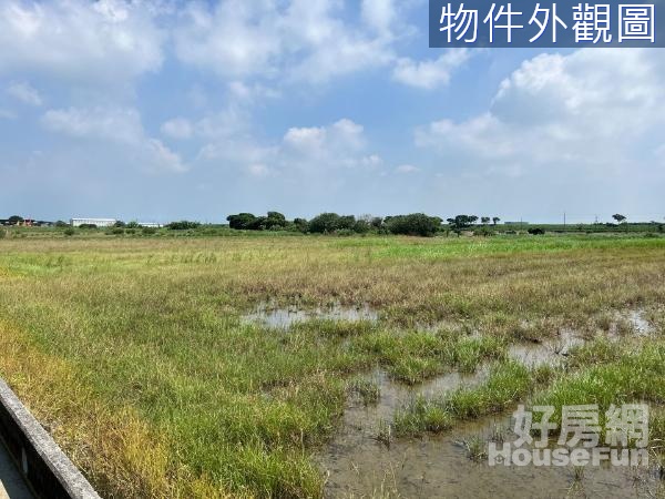 西港大塭寮村庄旁~可農保休閒農地