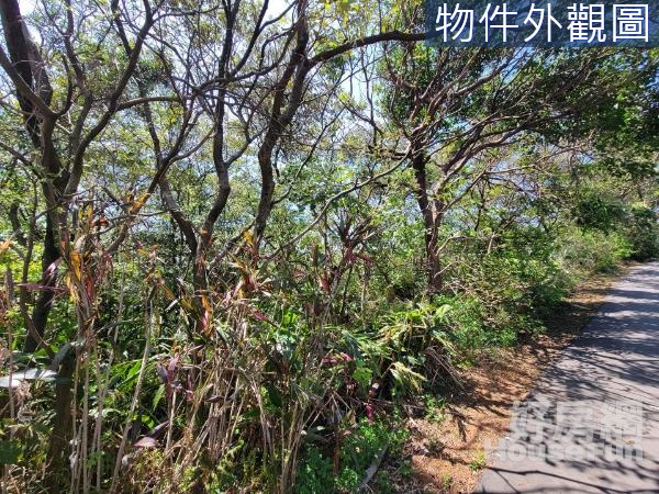 淡水區興仁段山海觀馬場旁農地B